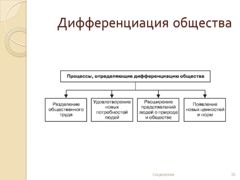 Дифференциация общества 35 Социология